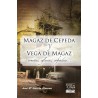 Magaz de Cepeda y Vega de Magaz. Ermitas, iglesias y cofradías